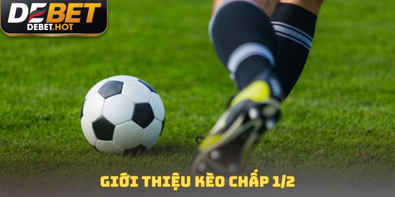 Giới thiệu kèo chấp 1/2