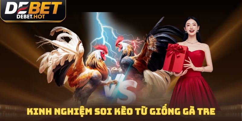 Kinh nghiệm soi kèo từ giống gà tre